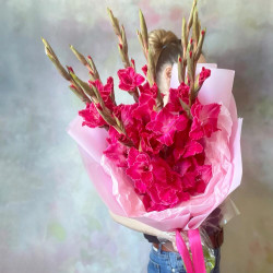 7 малиновых гладиолусов